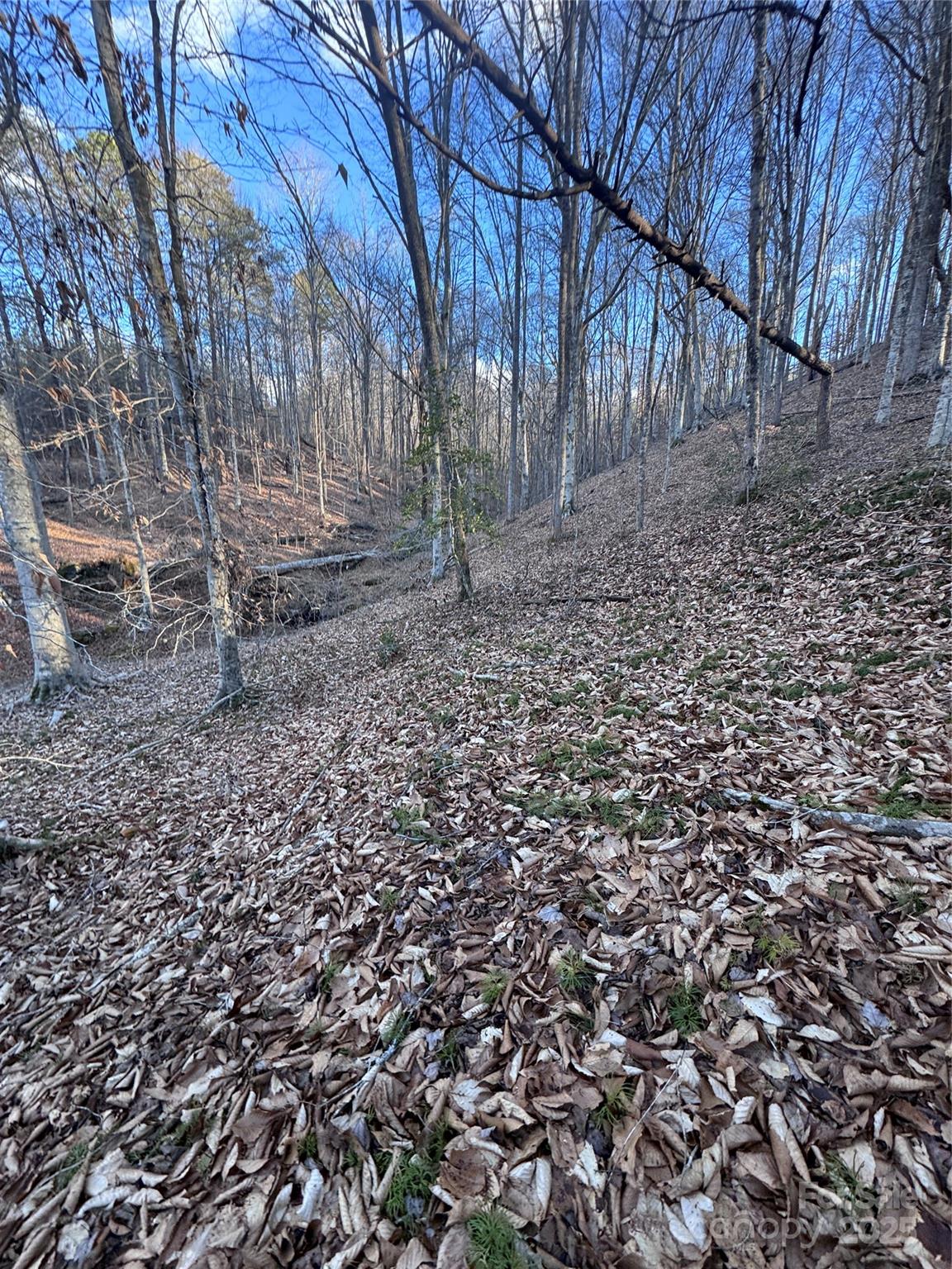 0 Creekside Circle Rutherfordton NC 28139