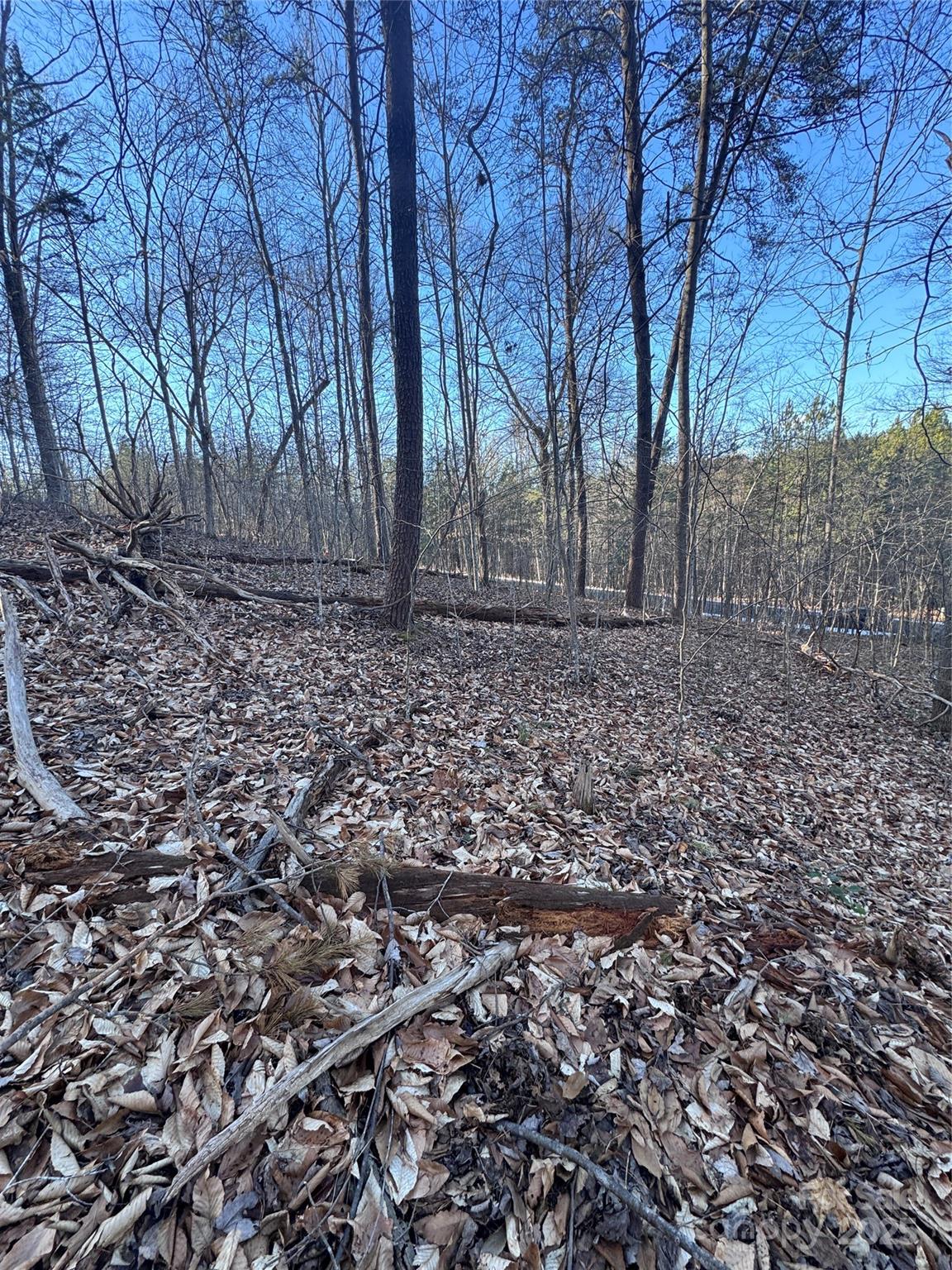 0 Creekside Circle Rutherfordton NC 28139