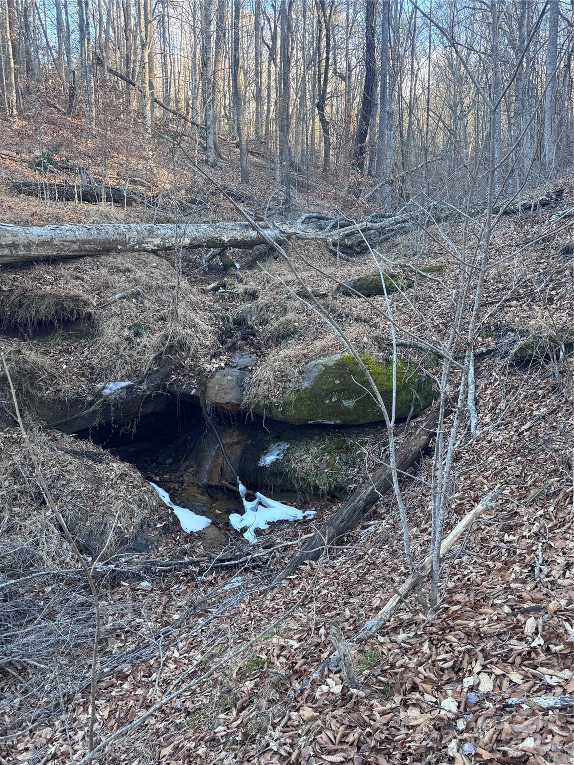 0 Creekside Circle Rutherfordton NC 28139