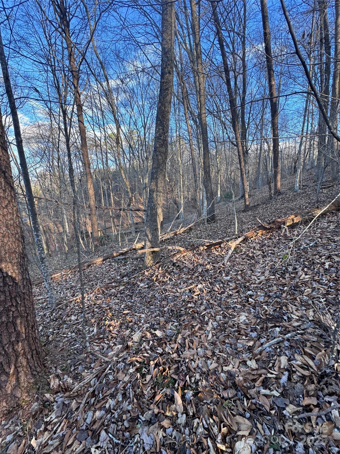 0 Creekside Circle Rutherfordton NC 28139