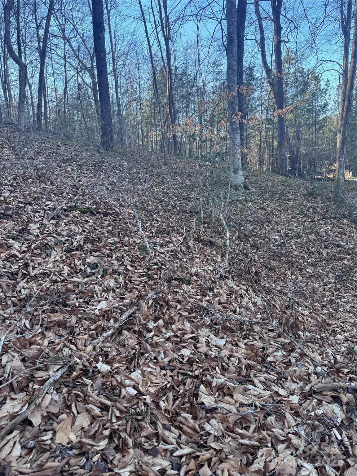 0 Creekside Circle Rutherfordton NC 28139