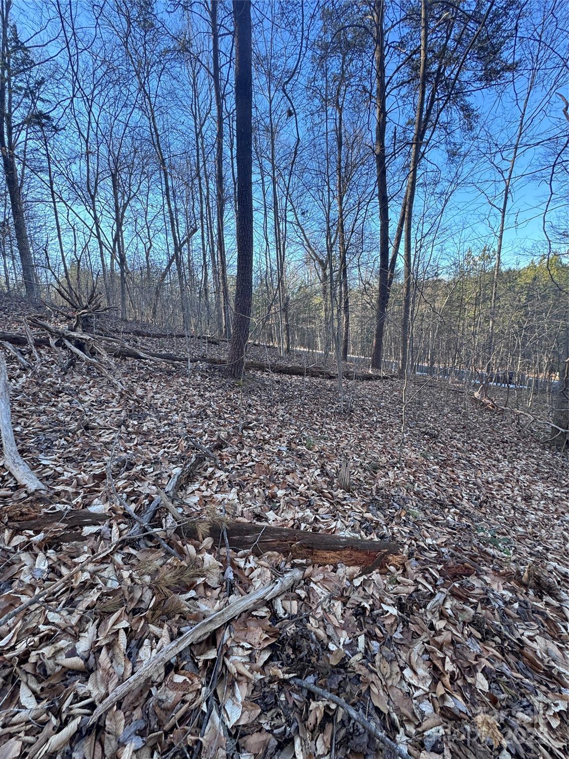 0 Creekside Circle Rutherfordton NC 28139