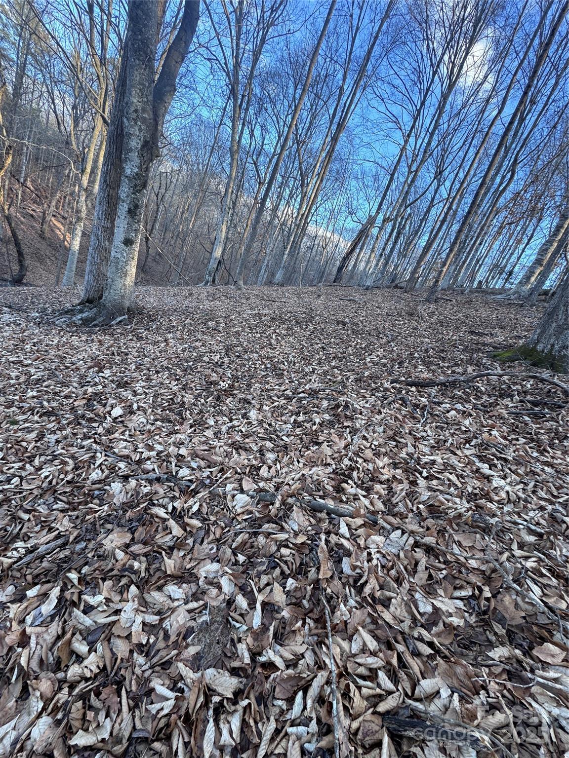 0 Creekside Circle Rutherfordton NC 28139