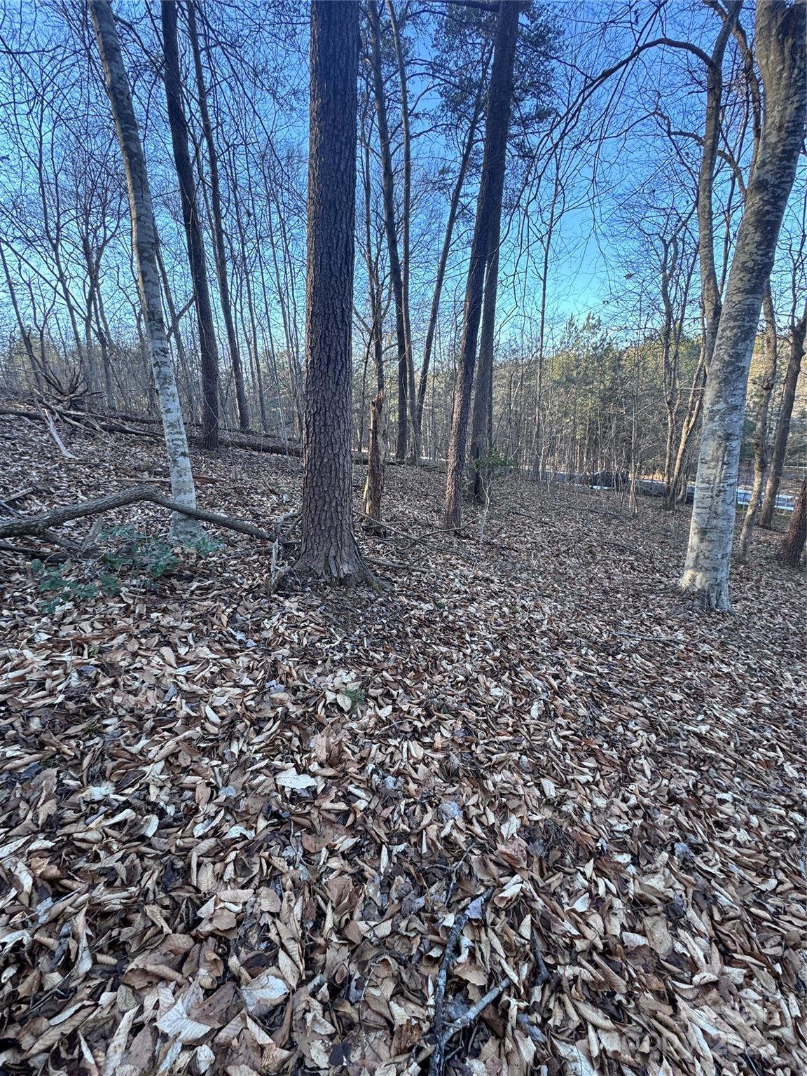 0 Creekside Circle Rutherfordton NC 28139