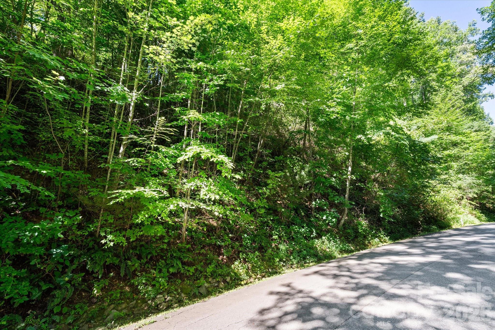 99999 Spy Rock Road Maggie Valley NC 28751