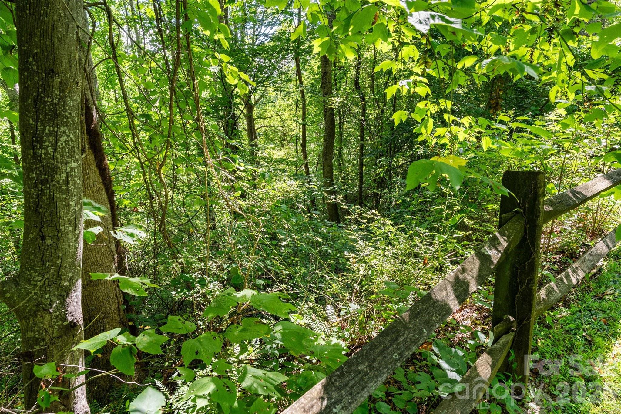 99999 Spy Rock Road Maggie Valley NC 28751