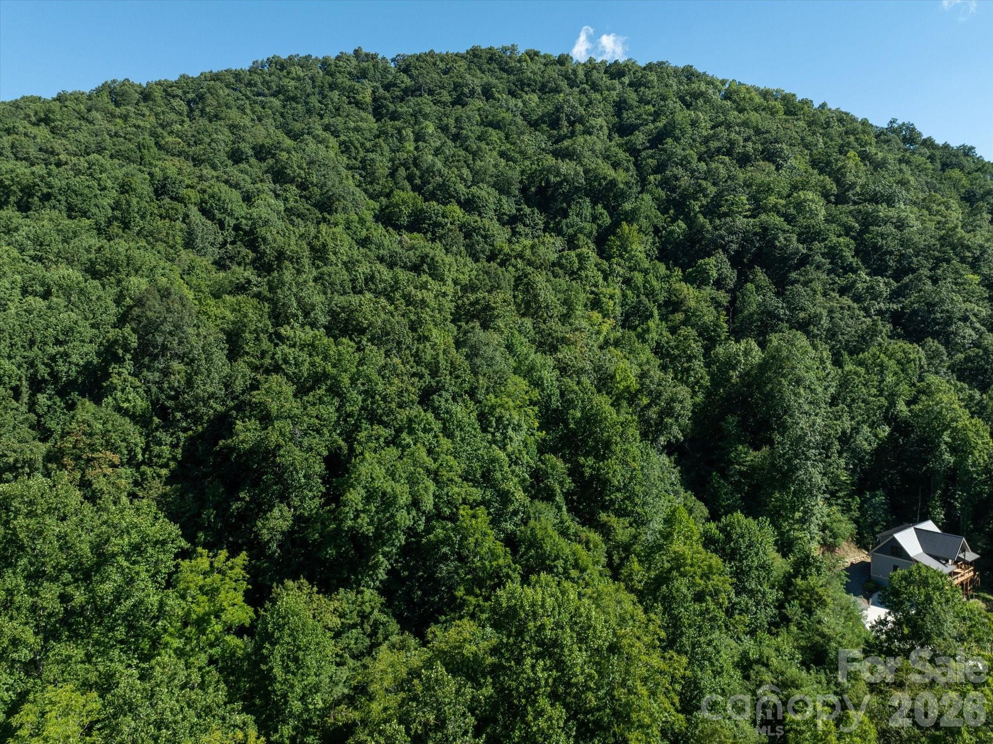 99999 Spy Rock Road Maggie Valley NC 28751
