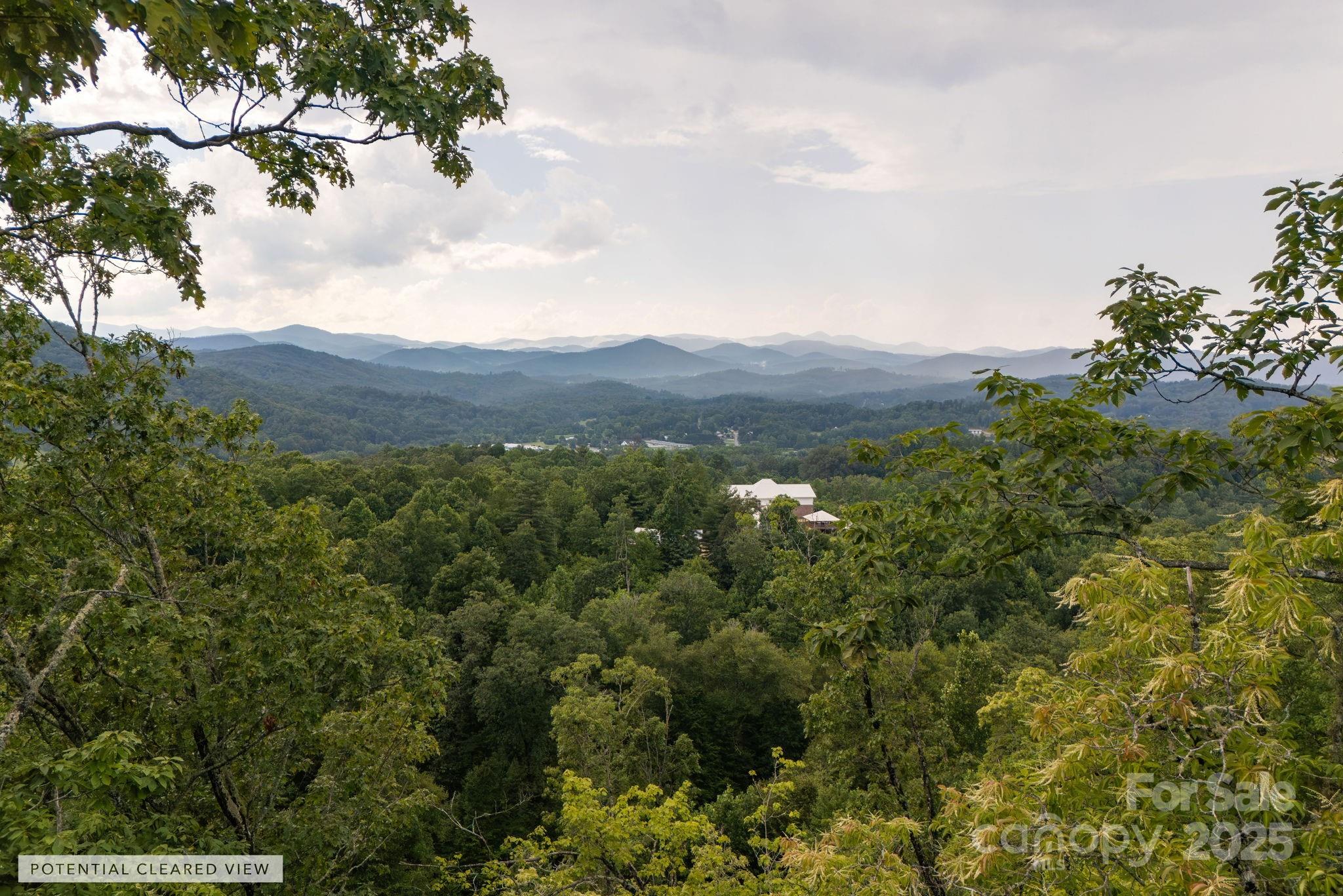 Lot # 2 Masterpiece View Drive Hendersonville NC 28739