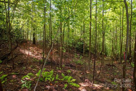 Lot # 2 Masterpiece View Drive Hendersonville NC 28739