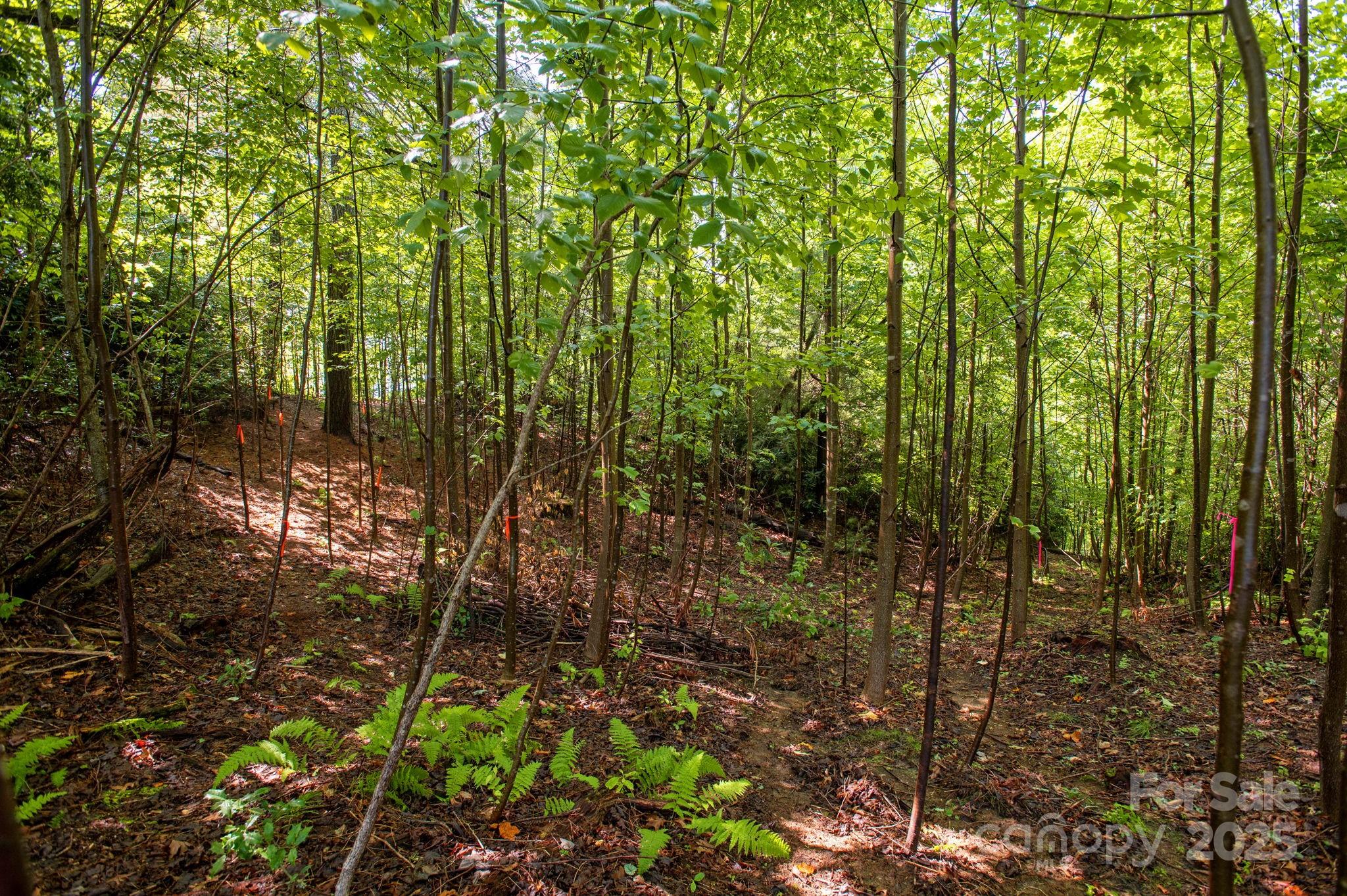 Lot # 2 Masterpiece View Drive Hendersonville NC 28739