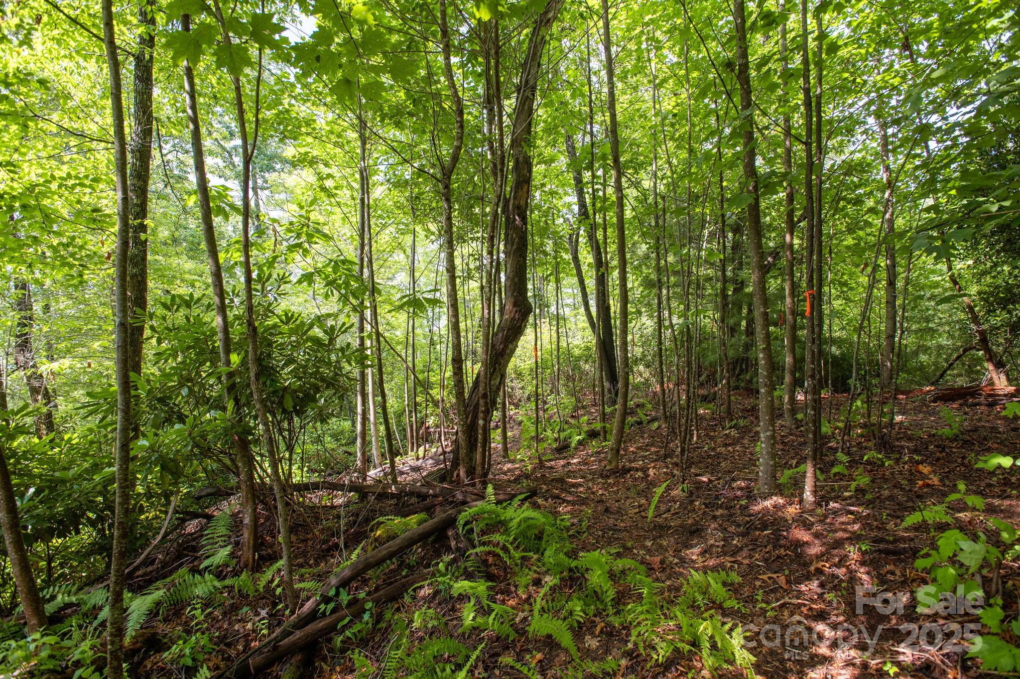 Lot # 2 Masterpiece View Drive Hendersonville NC 28739
