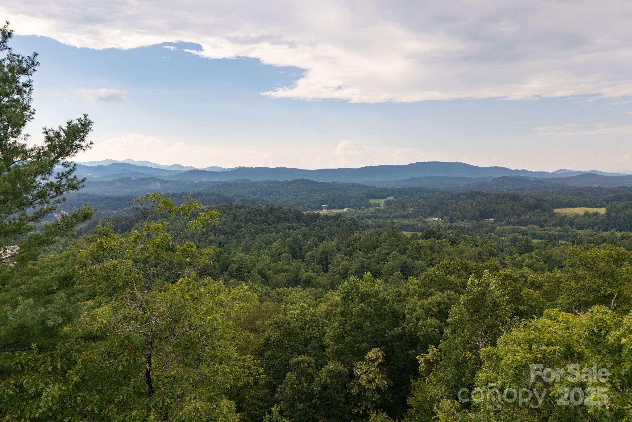 Lot # 2 Masterpiece View Drive Hendersonville NC 28739