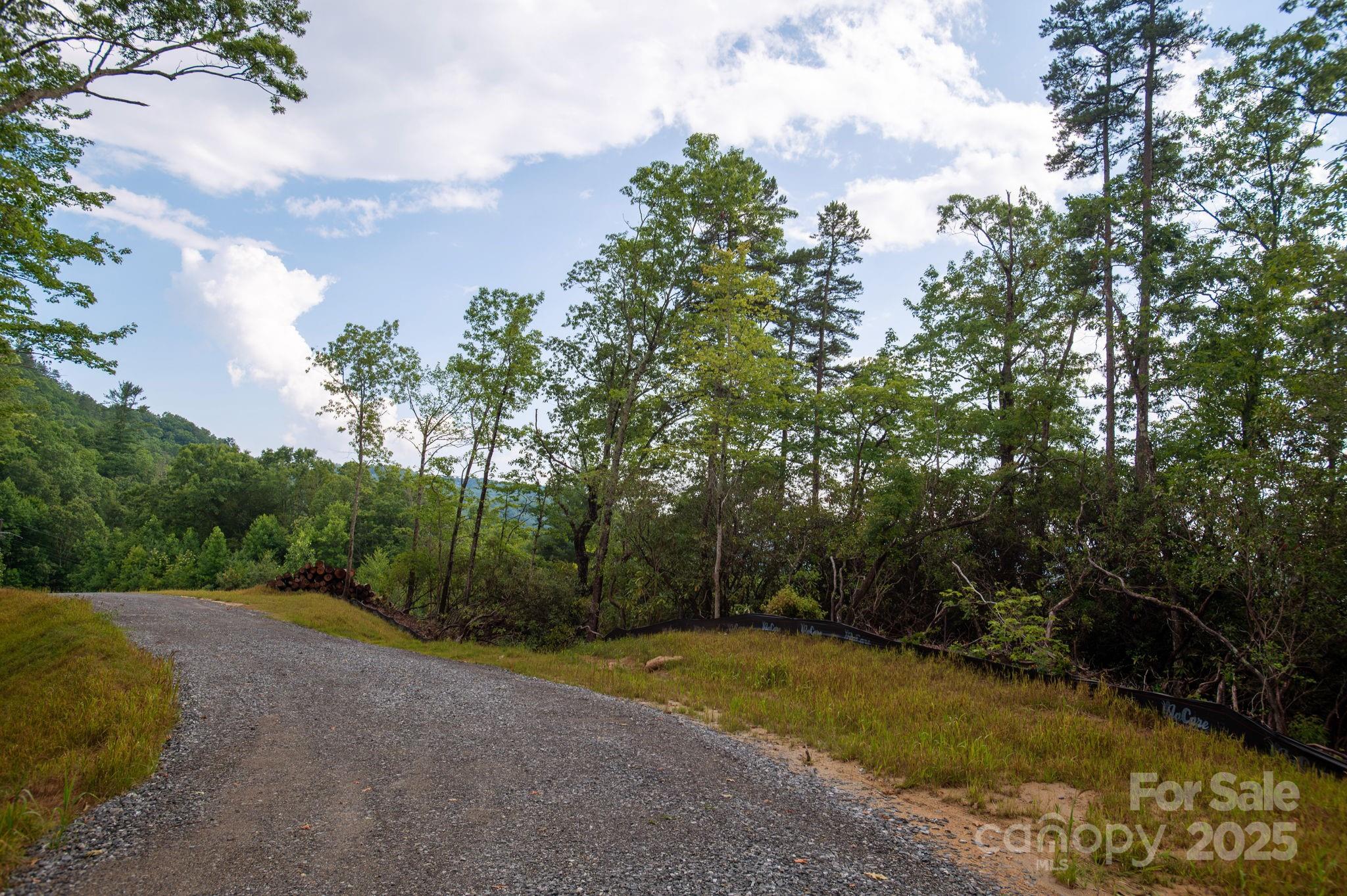 Lot # 2 Masterpiece View Drive Hendersonville NC 28739