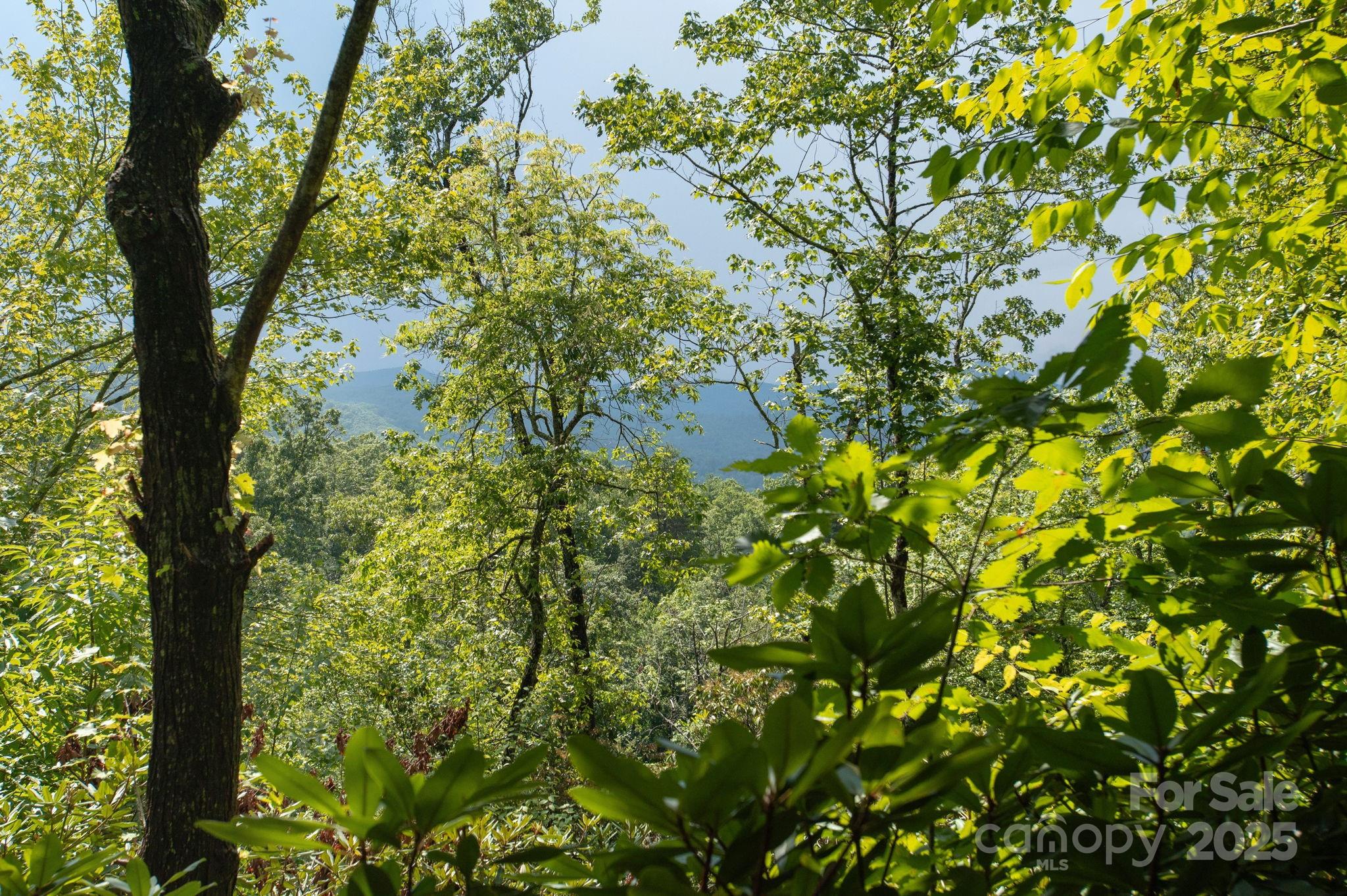 Lot # 2 Masterpiece View Drive Hendersonville NC 28739