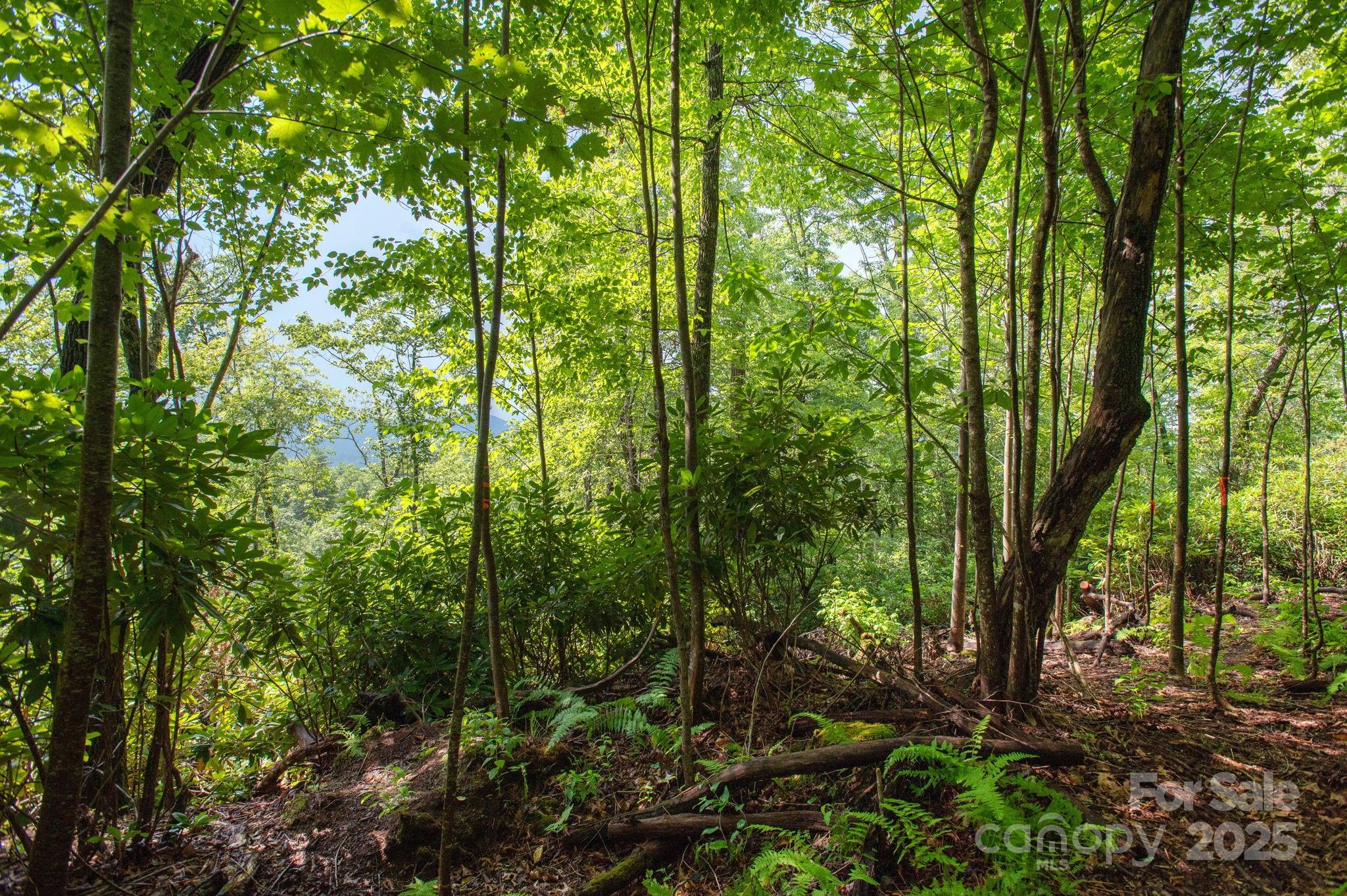 Lot # 2 Masterpiece View Drive Hendersonville NC 28739