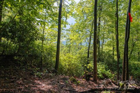 Lot # 2 Masterpiece View Drive Hendersonville NC 28739