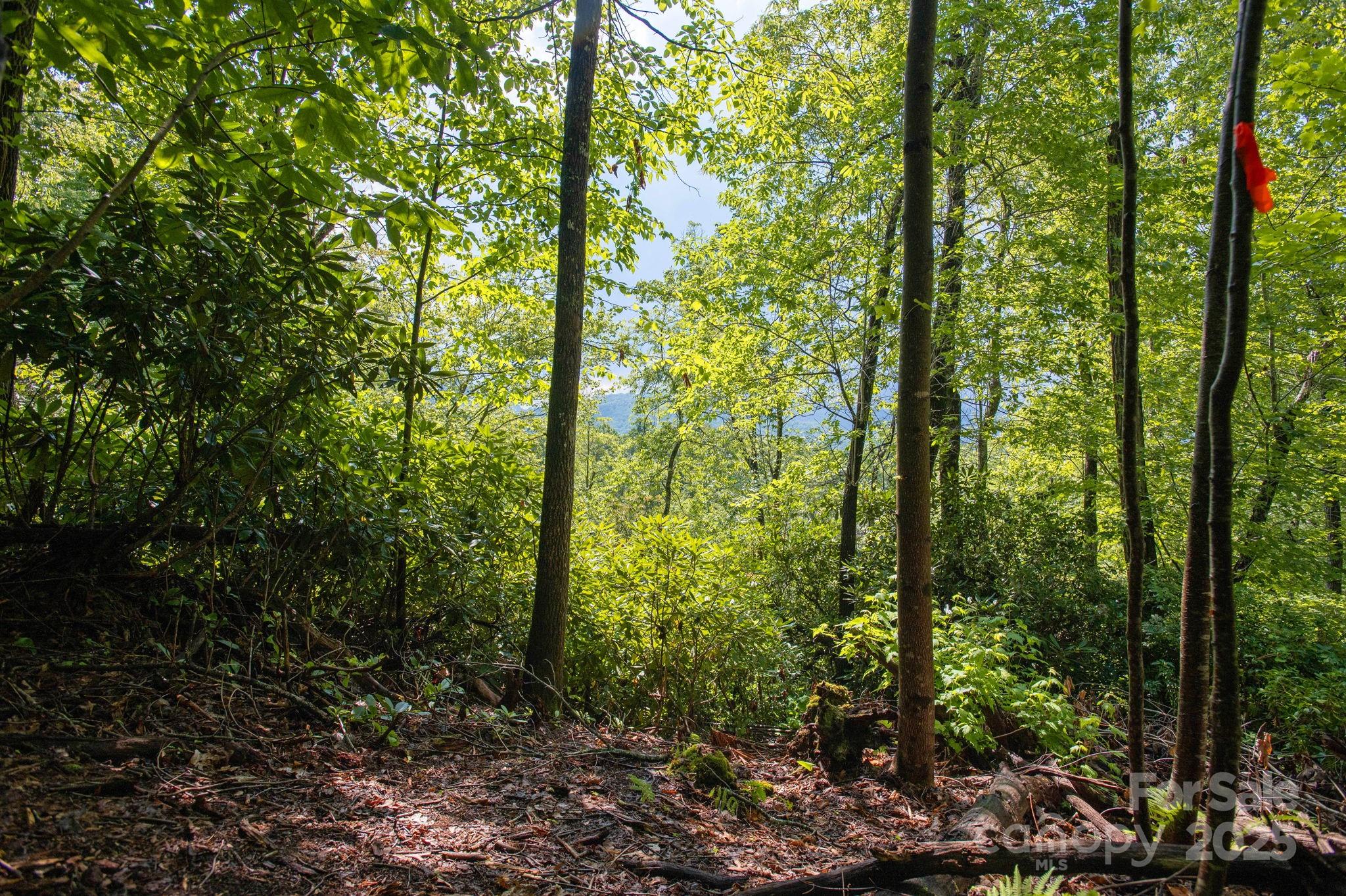 Lot # 2 Masterpiece View Drive Hendersonville NC 28739