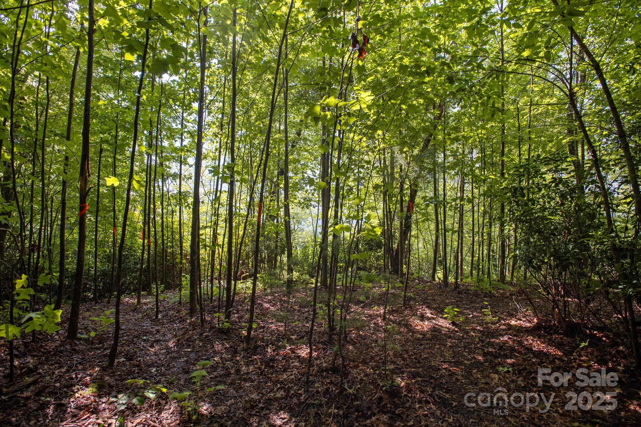 Lot # 2 Masterpiece View Drive Hendersonville NC 28739