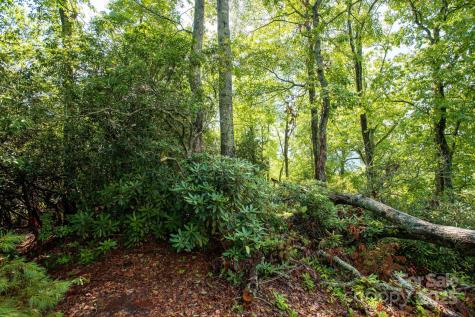 Lot # 2 Masterpiece View Drive Hendersonville NC 28739