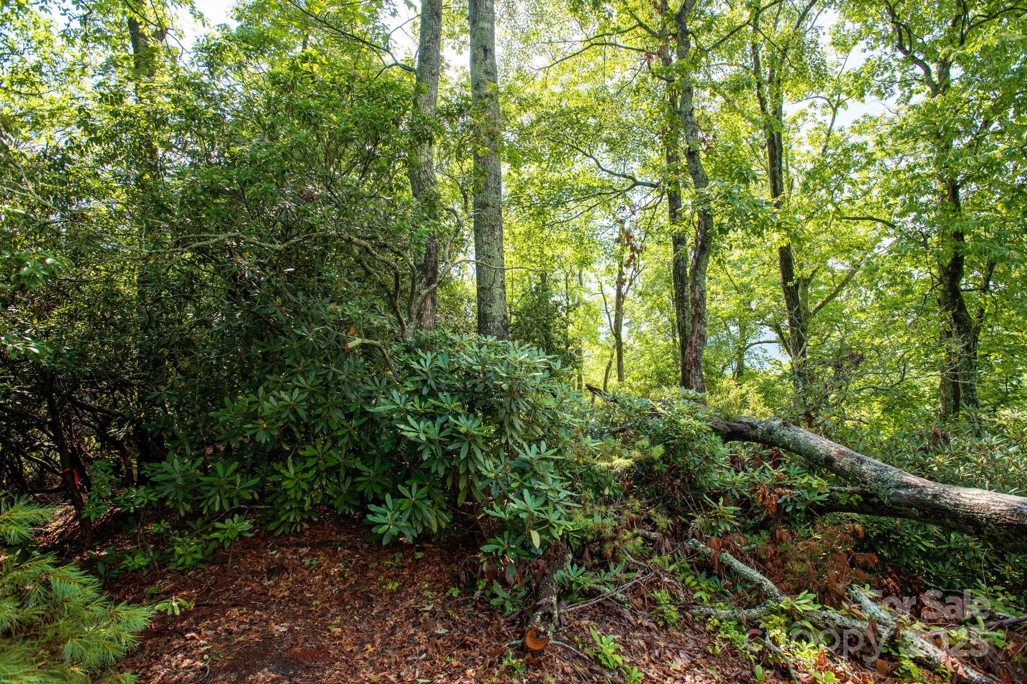 Lot # 2 Masterpiece View Drive Hendersonville NC 28739