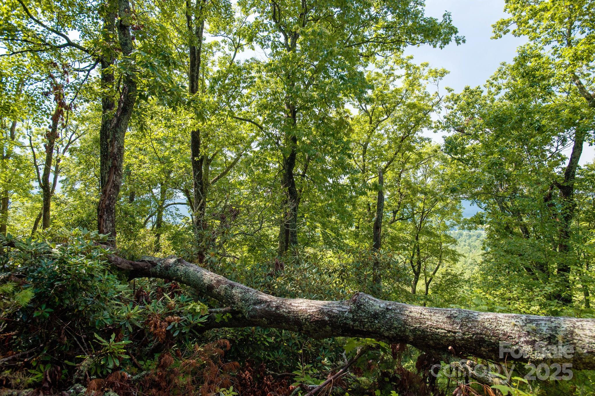 Lot # 2 Masterpiece View Drive Hendersonville NC 28739