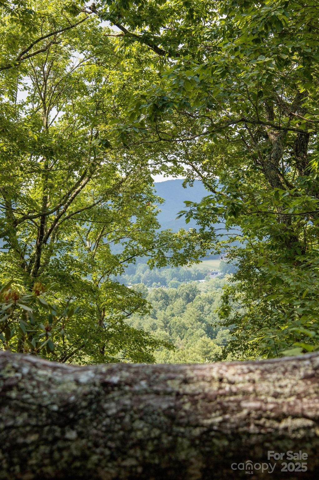 Lot # 2 Masterpiece View Drive Hendersonville NC 28739