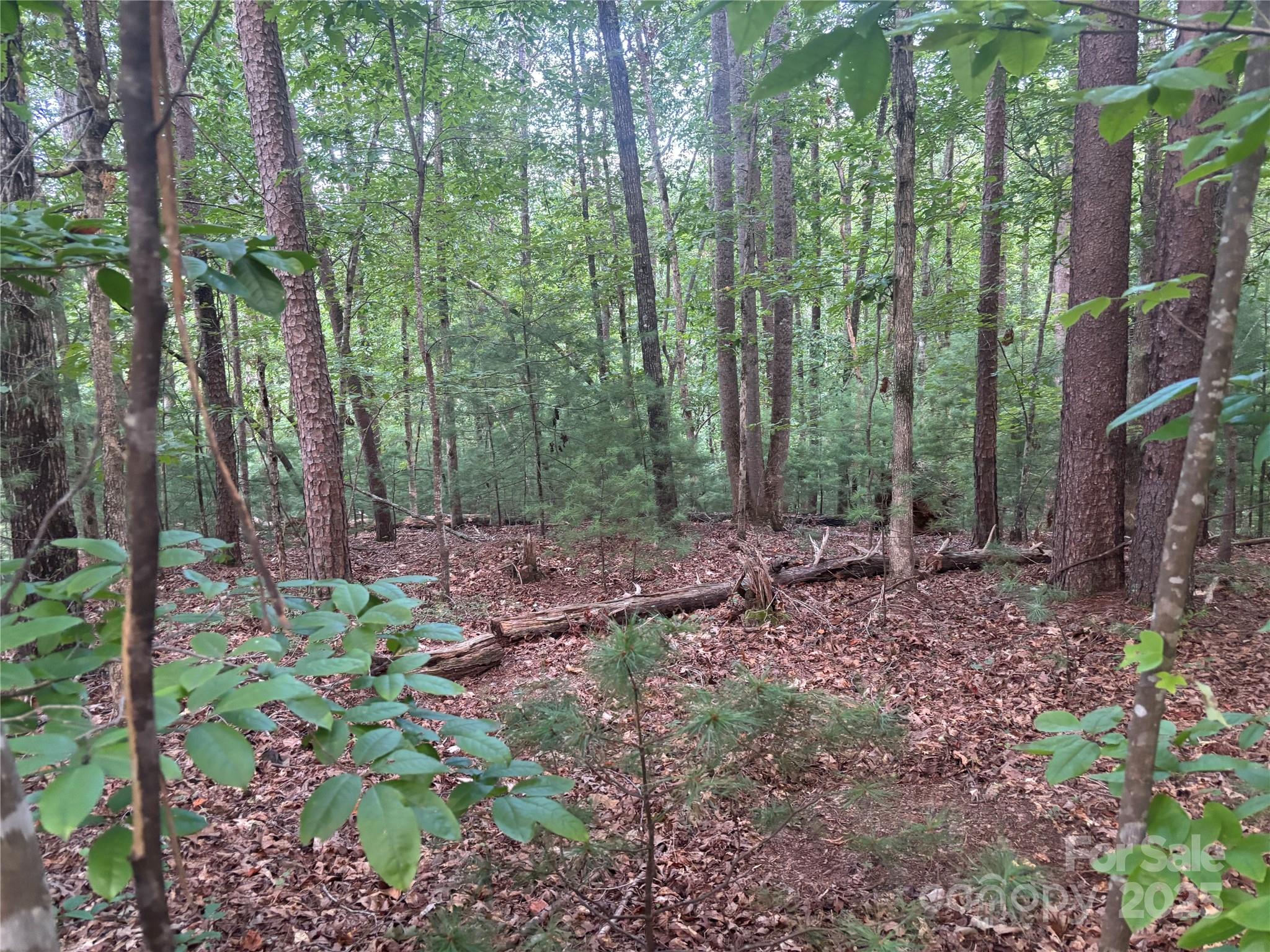 Lots 11/12 South Pointe Road Mill Spring NC 28756