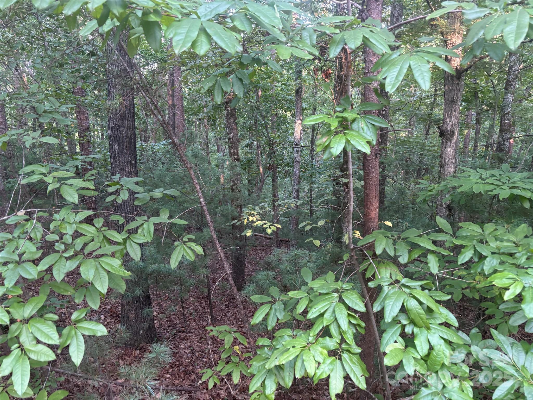 Lots 11/12 South Pointe Road Mill Spring NC 28756