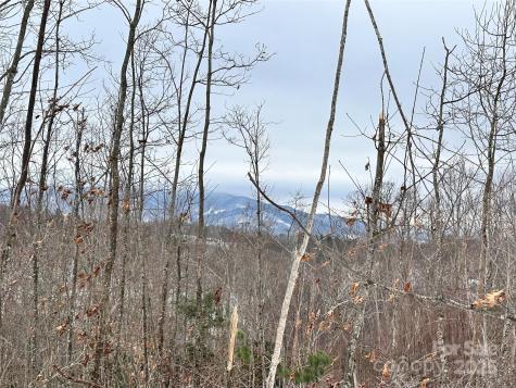 0000 Lot 78 Black Bear Crossing Elk Park NC 28622