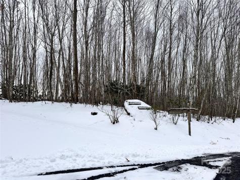 0000 Lot 78 Black Bear Crossing Elk Park NC 28622