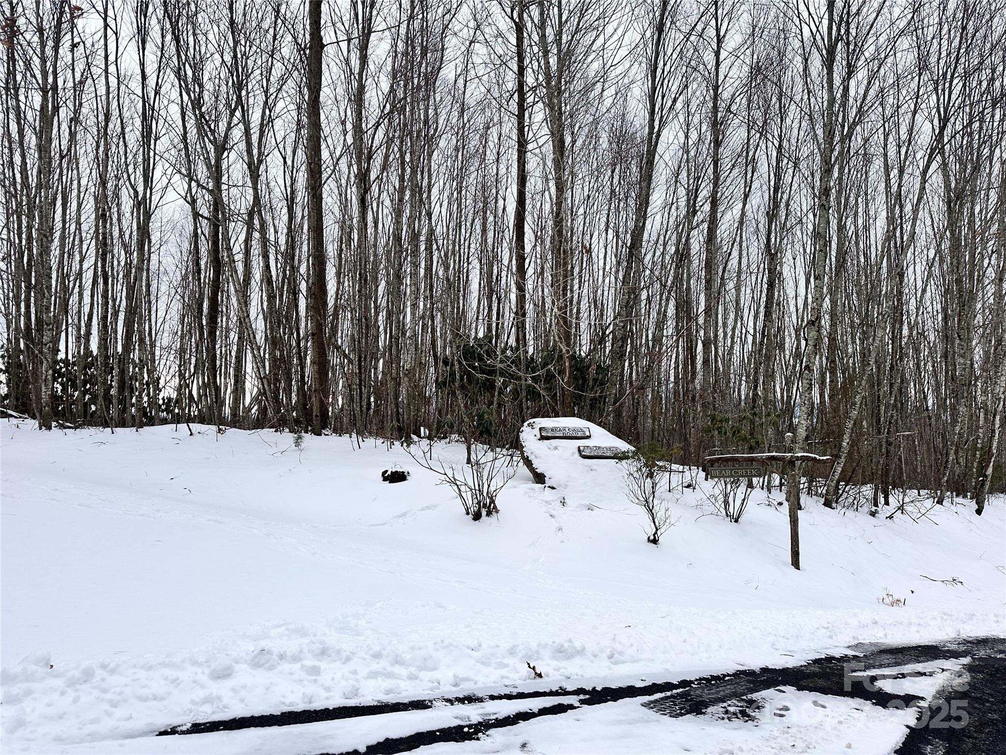 0000 Lot 78 Black Bear Crossing Elk Park NC 28622