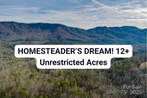 00 Jarrell Loop Old Fort NC 28762
