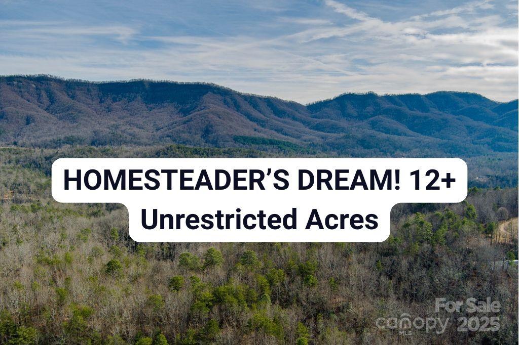 00 Jarrell Loop Old Fort NC 28762