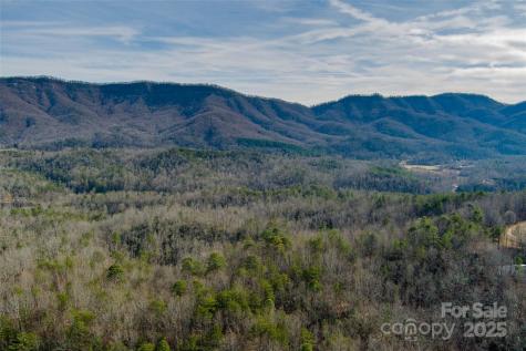 00 Jarrell Loop Old Fort NC 28762