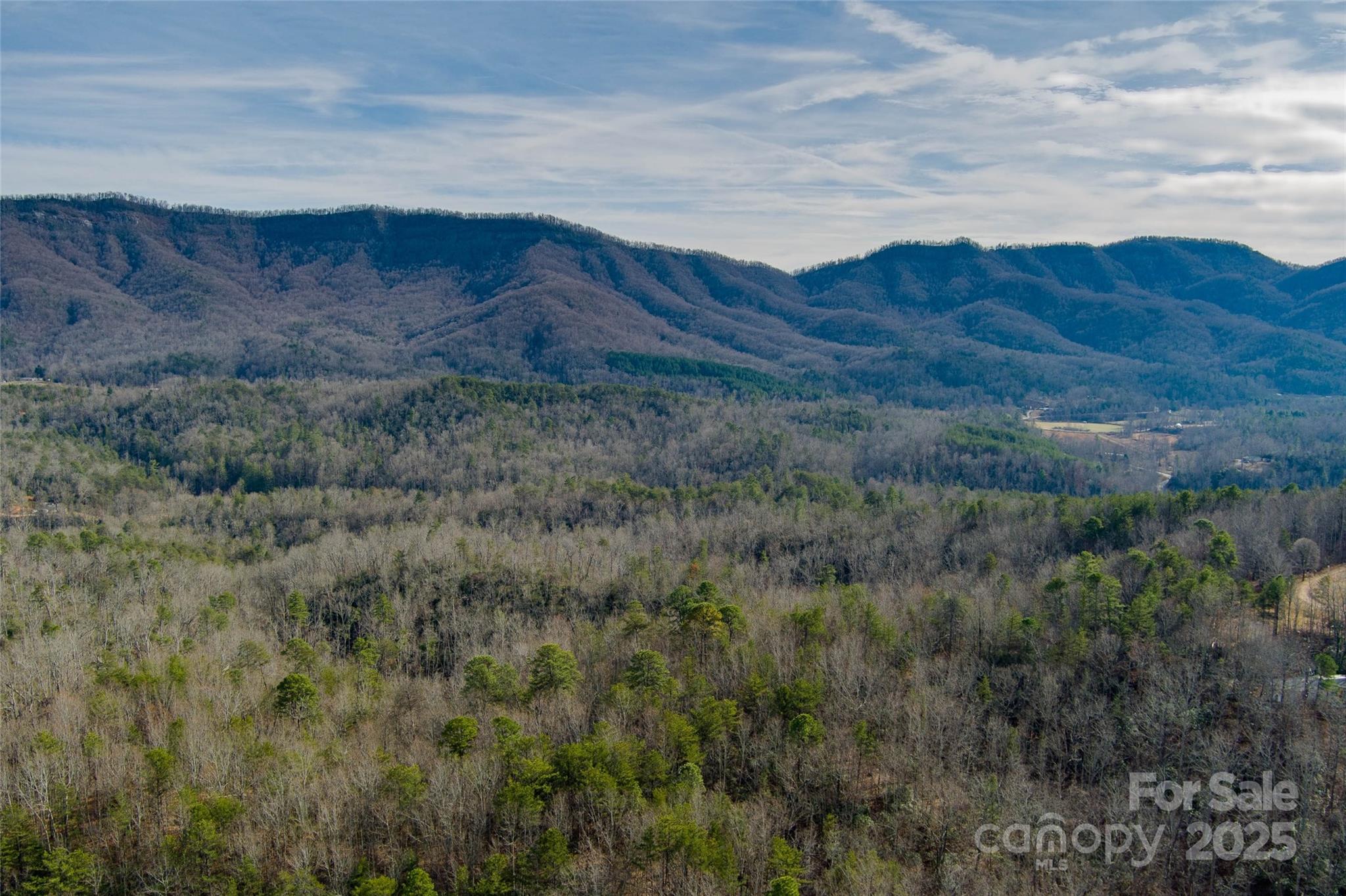 00 Jarrell Loop Old Fort NC 28762