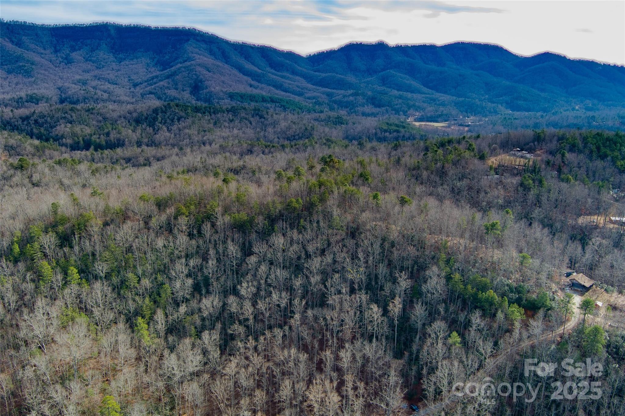 00 Jarrell Loop Old Fort NC 28762