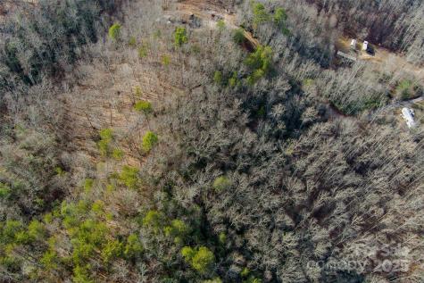 00 Jarrell Loop Old Fort NC 28762