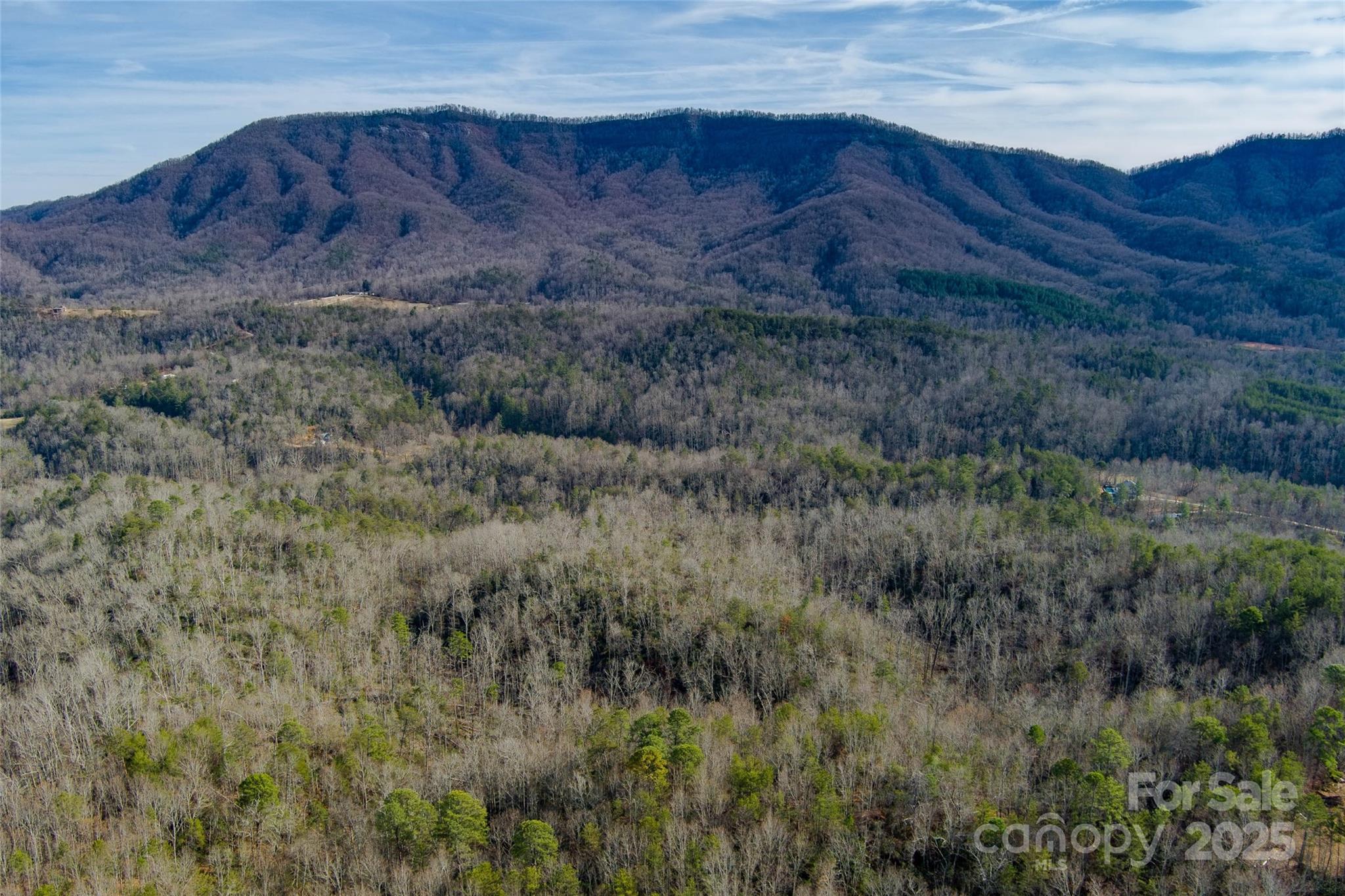 00 Jarrell Loop Old Fort NC 28762