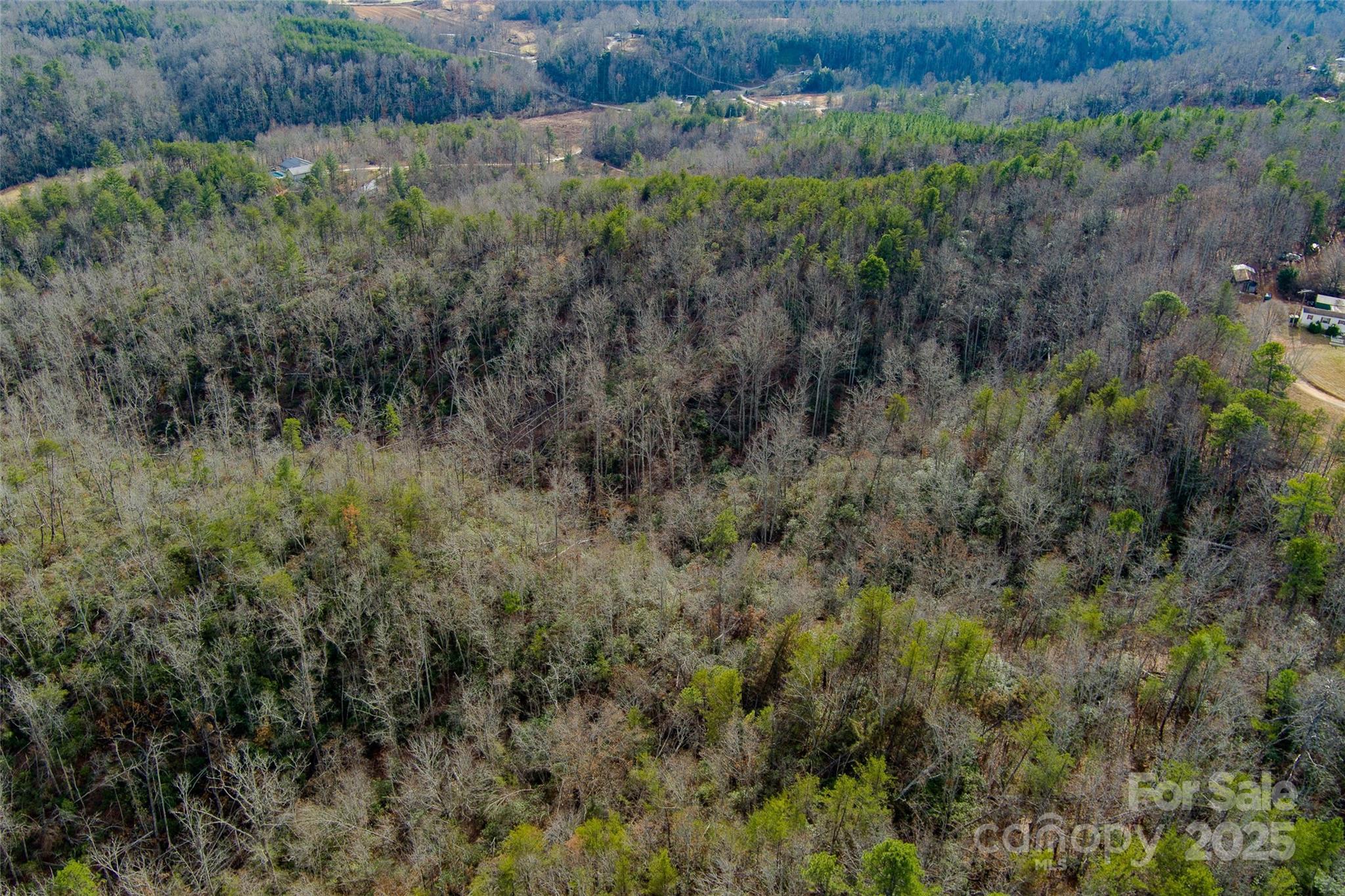 00 Jarrell Loop Old Fort NC 28762