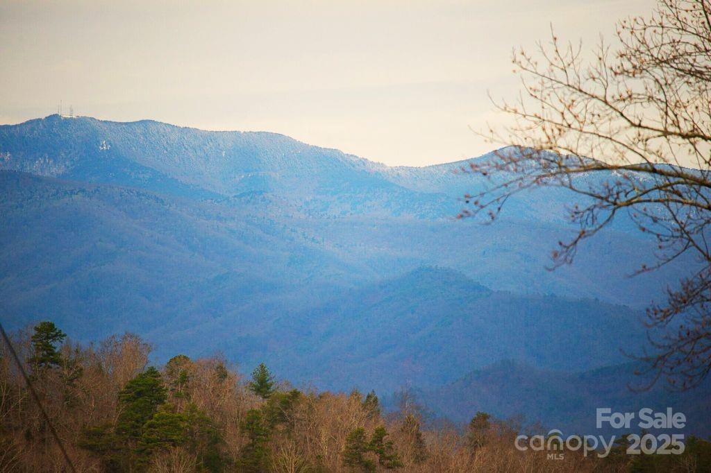 00 Jarrell Loop Old Fort NC 28762
