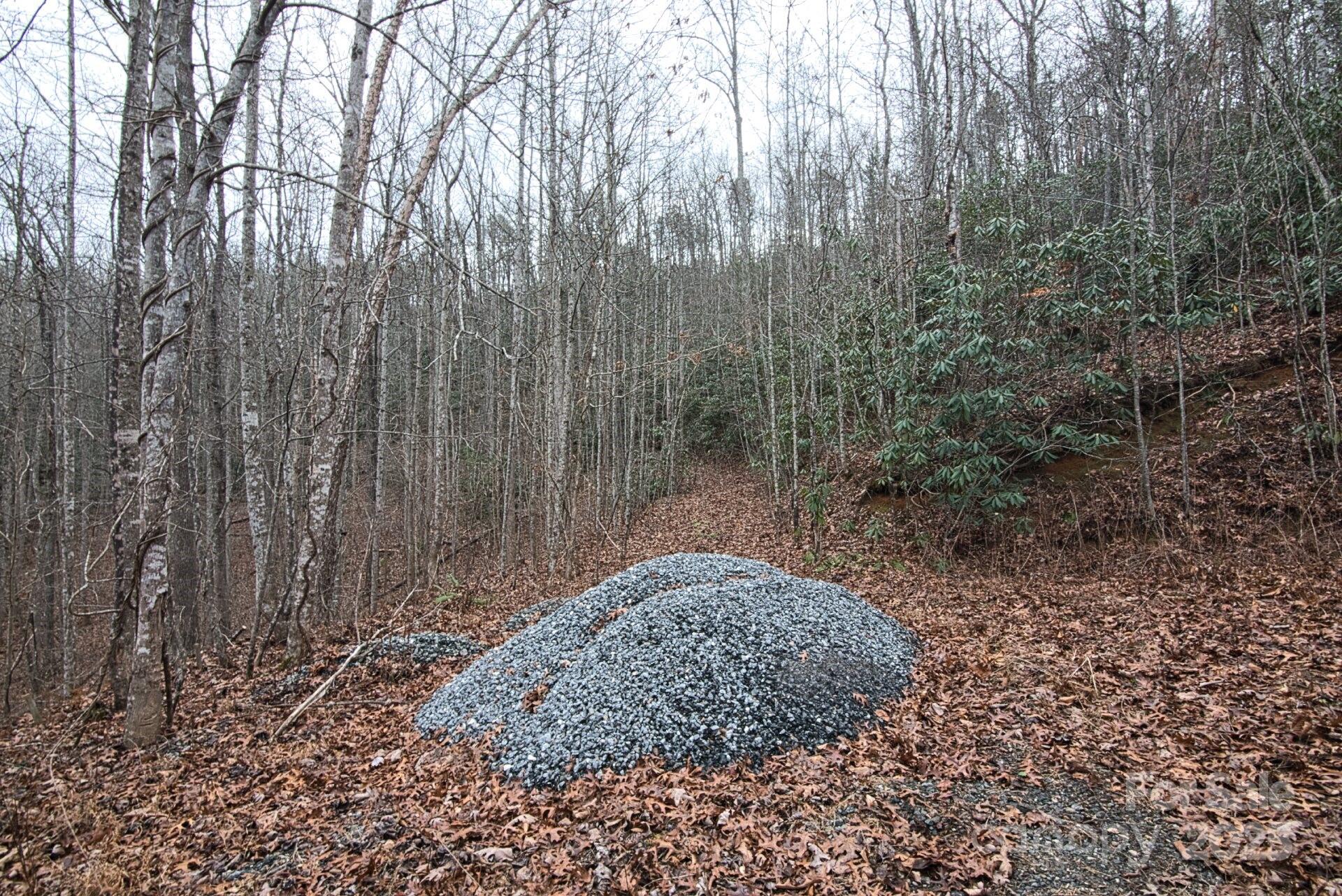 00 Jarrell Loop Old Fort NC 28762