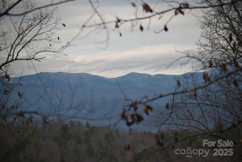 00 Jarrell Loop Old Fort NC 28762