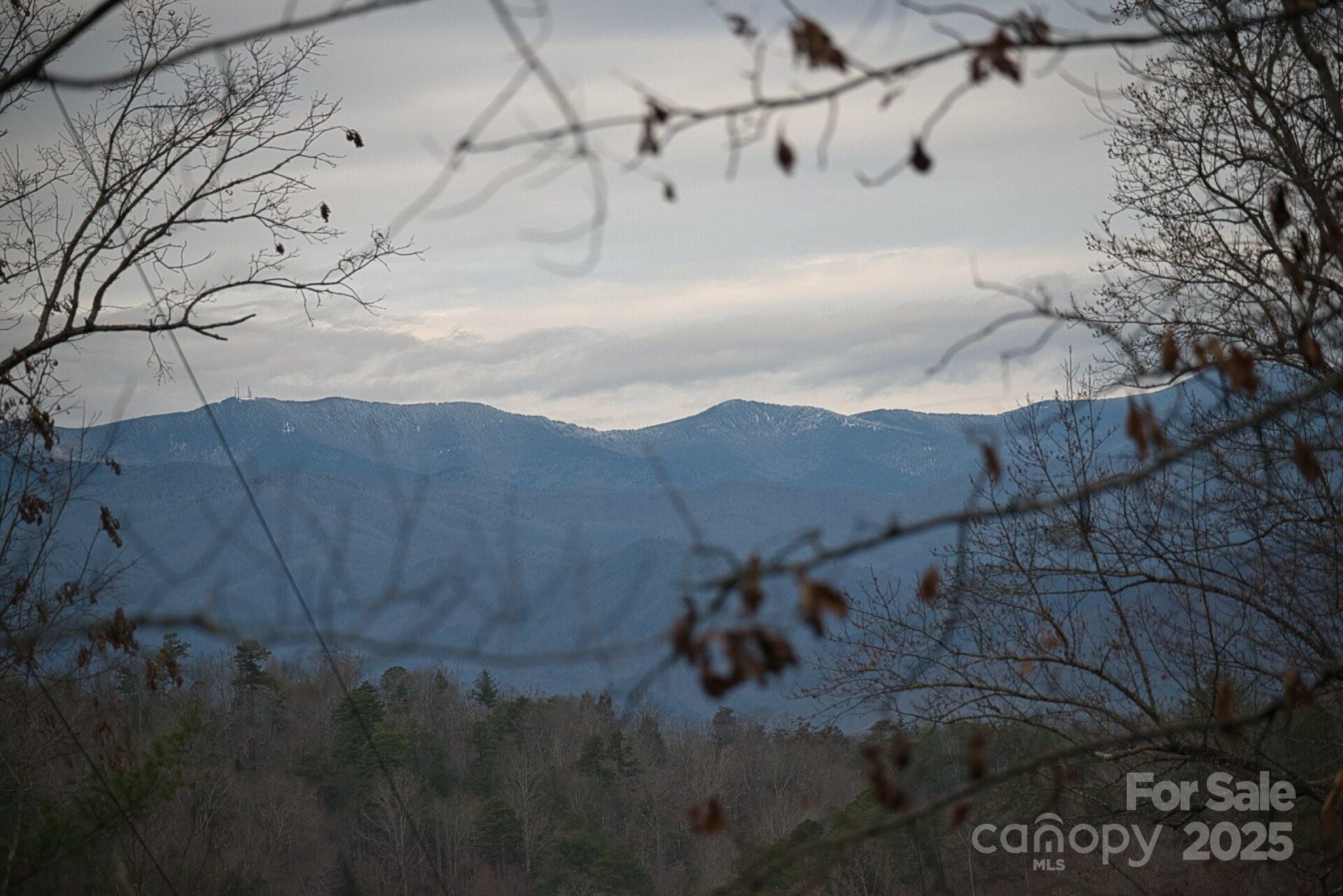 00 Jarrell Loop Old Fort NC 28762
