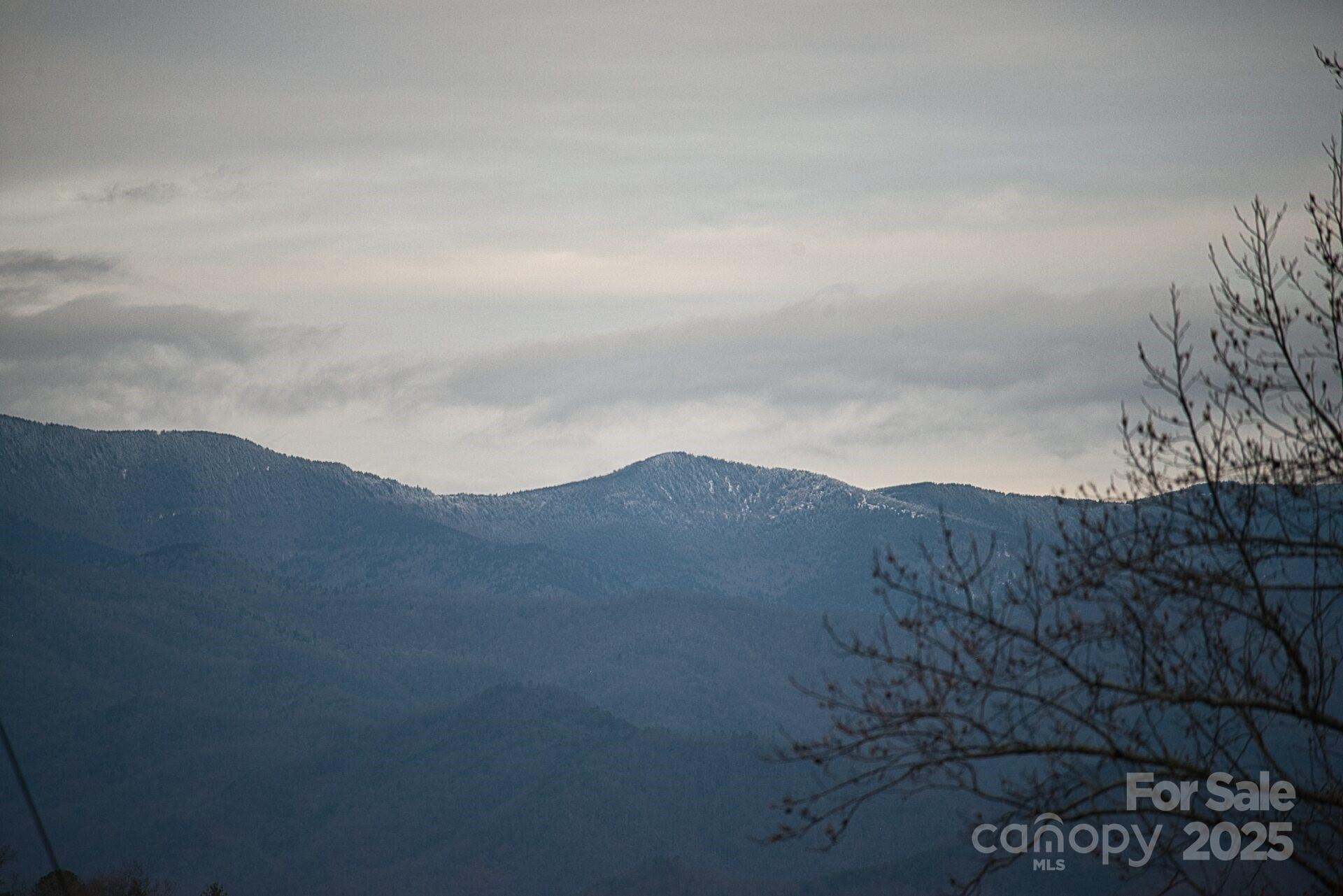 00 Jarrell Loop Old Fort NC 28762