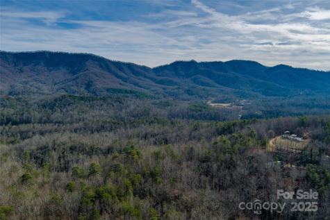 00 Jarrell Loop Old Fort NC 28762