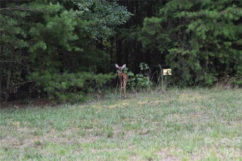 147 Heron Bay Drive Badin Lake NC 28127