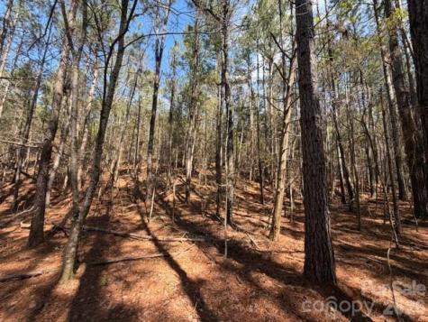 12.68 Acre 99 Road Blair SC 29015