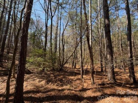 12.68 Acre 99 Road Blair SC 29015