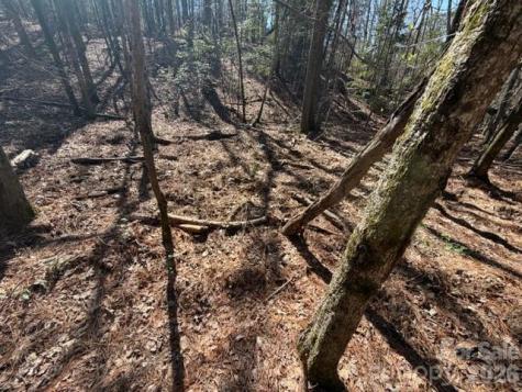12.68 Acre 99 Road Blair SC 29015