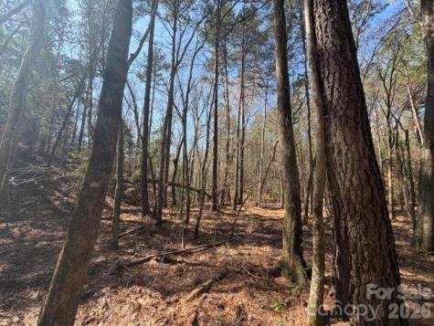 12.68 Acre 99 Road Blair SC 29015
